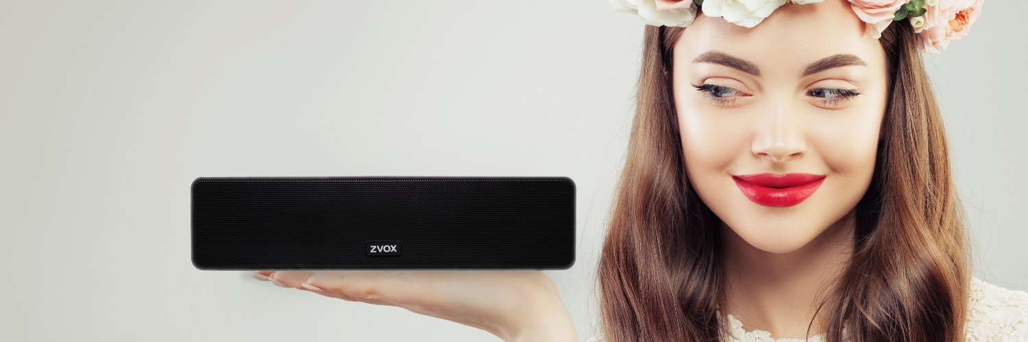 ZVOXaudio's profile banner image