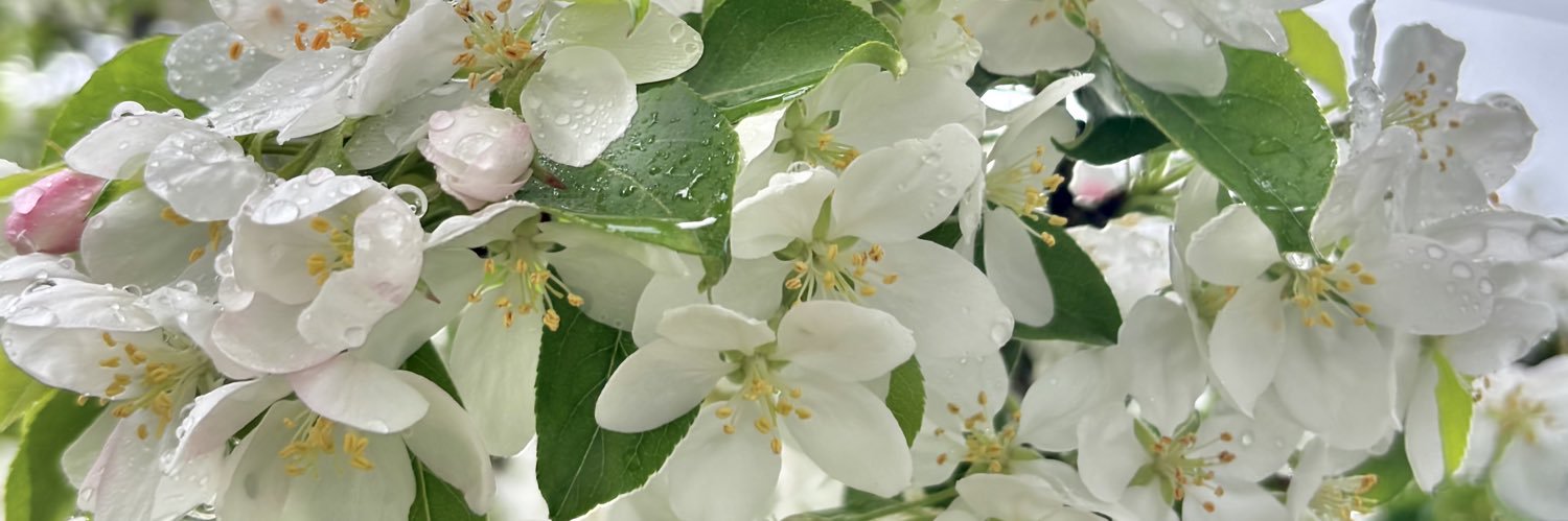 nayuta234's profile banner image