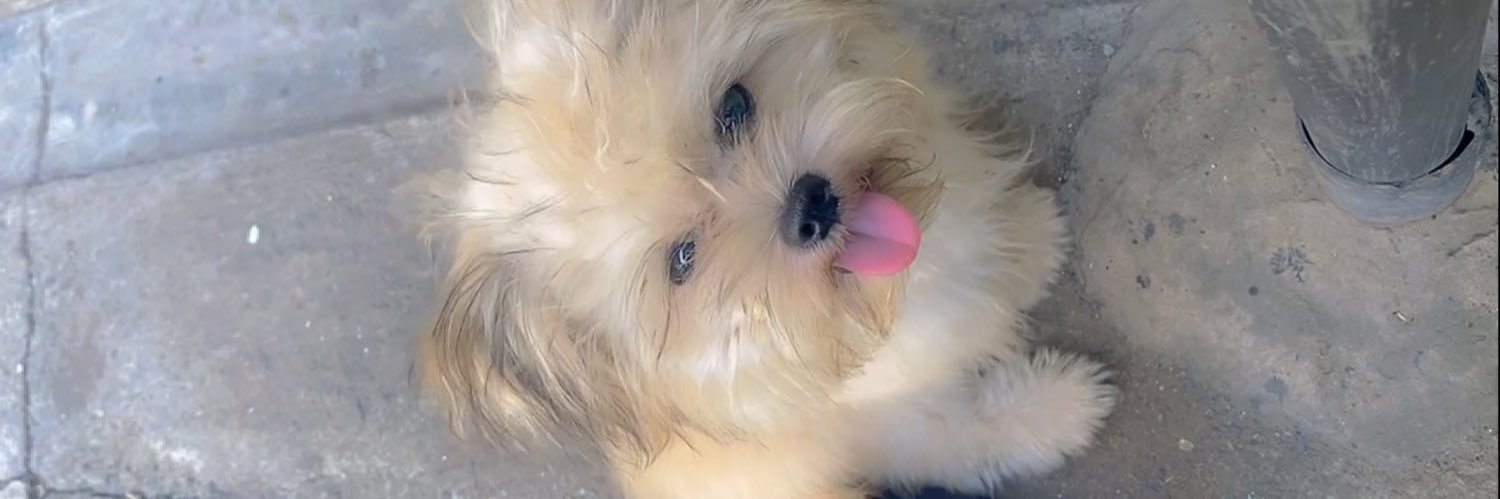 Tinny_drae's profile banner image