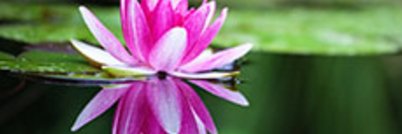 PSPFrance's profile banner image