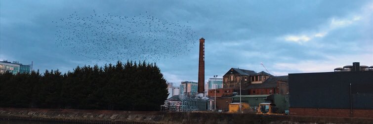 Nathan Williams banner