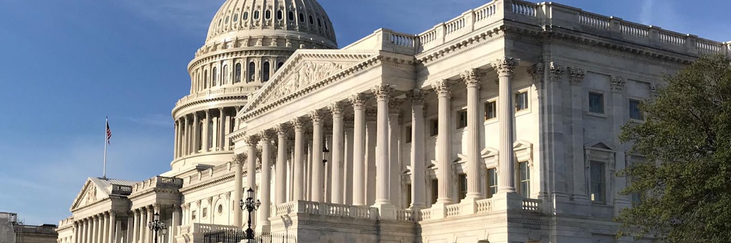 Secili DeStefano banner