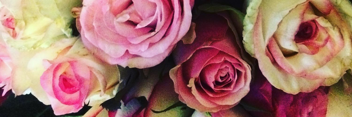 Leoniewiers's profile banner image