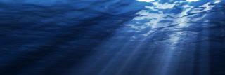 MerlijnWolsink's profile banner image