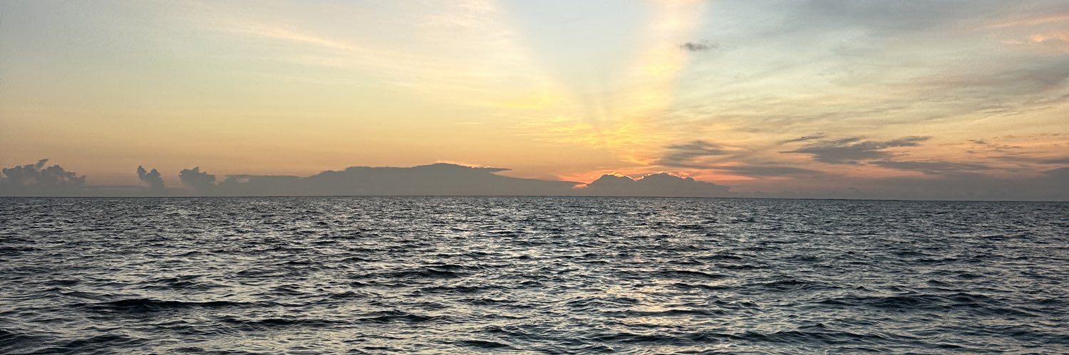 Elisleño 🌊🦈🌴 banner