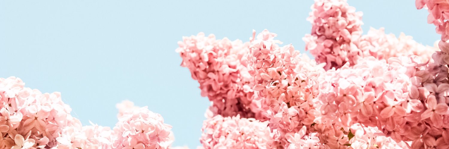 MaddyDevine1's profile banner image