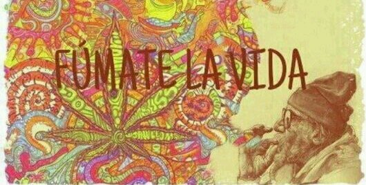 yonnypraderas's profile banner image