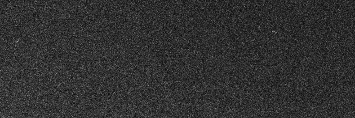 the_rat_disare banner