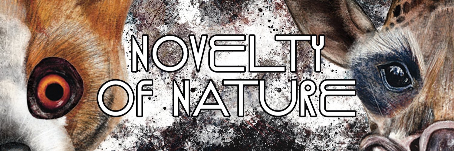 Elifkacar🔺🥣 banner