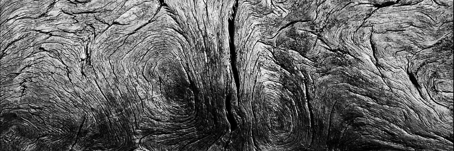 ZippyMagee's profile banner image