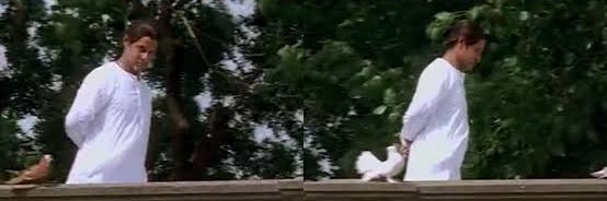 Gaalodu banner