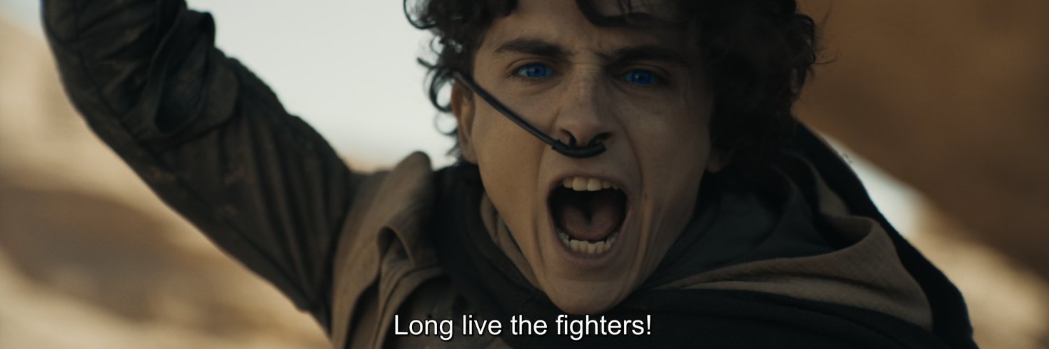 palaceofblumer's profile banner image