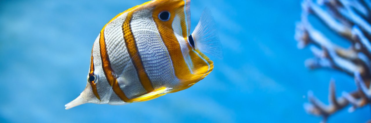 FishingVideos1's profile banner image