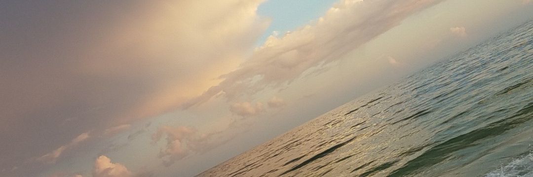 ElizabethIvy17's profile banner image
