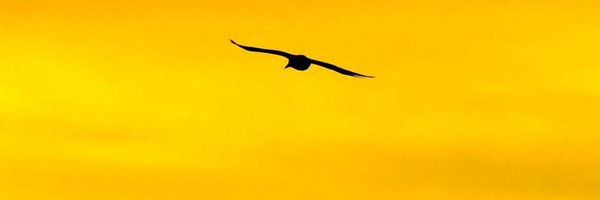 SathishSTR07 Profile Banner