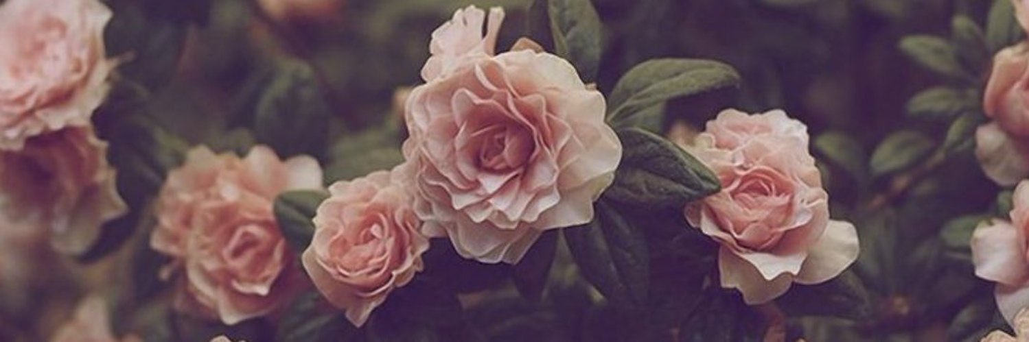 jannh57's profile banner image
