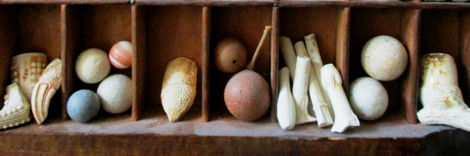 Germander Speedwell banner