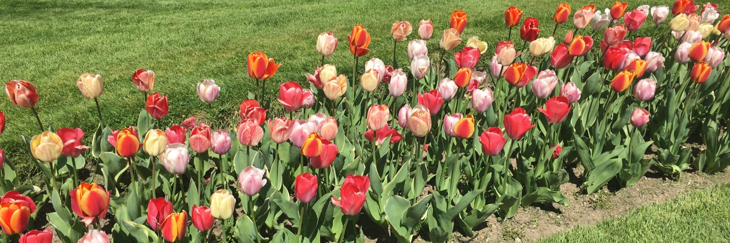 Karli Del Rossi banner