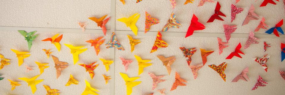 Amanda Sammann banner