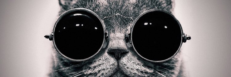 jessica__lr's profile banner image