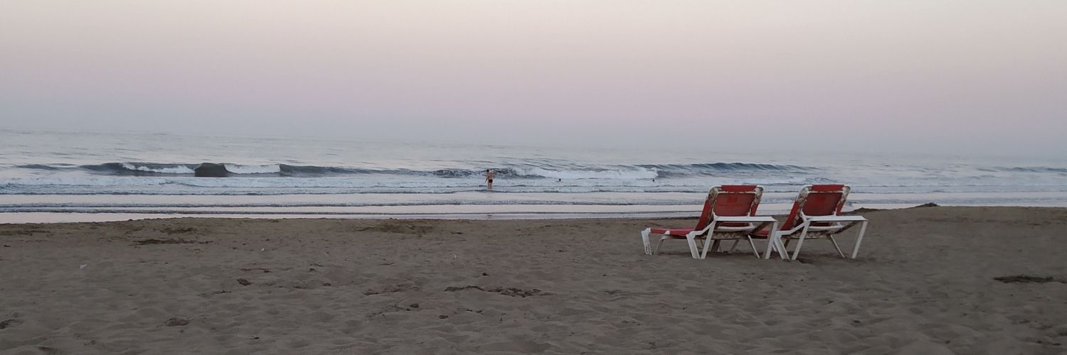 Catalina Espino banner