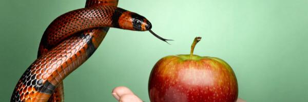 PecadoresSw's profile banner image