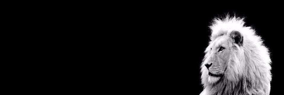 12TribesResistence banner