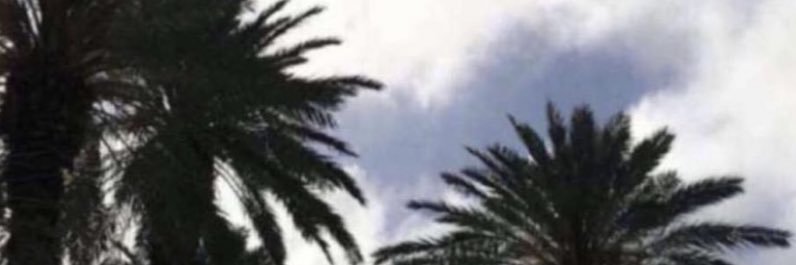 sdwmal's profile banner image