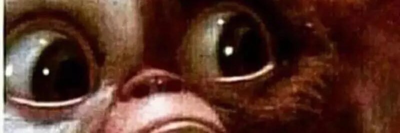 lonelyelf19's profile banner image