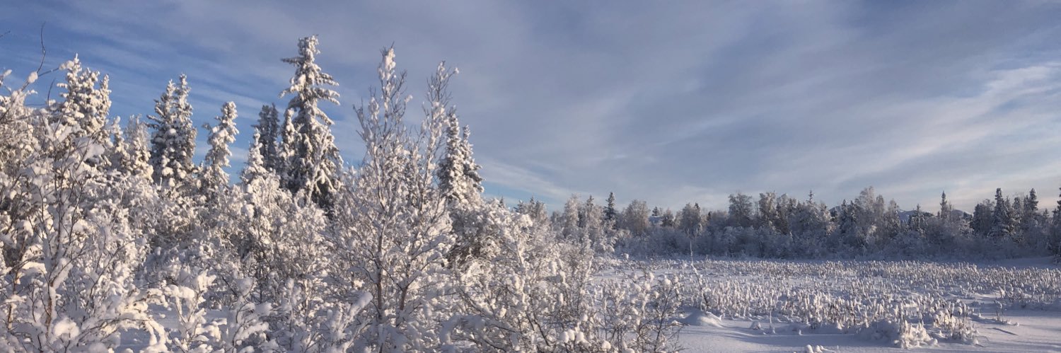 Caitrin Pilkington banner