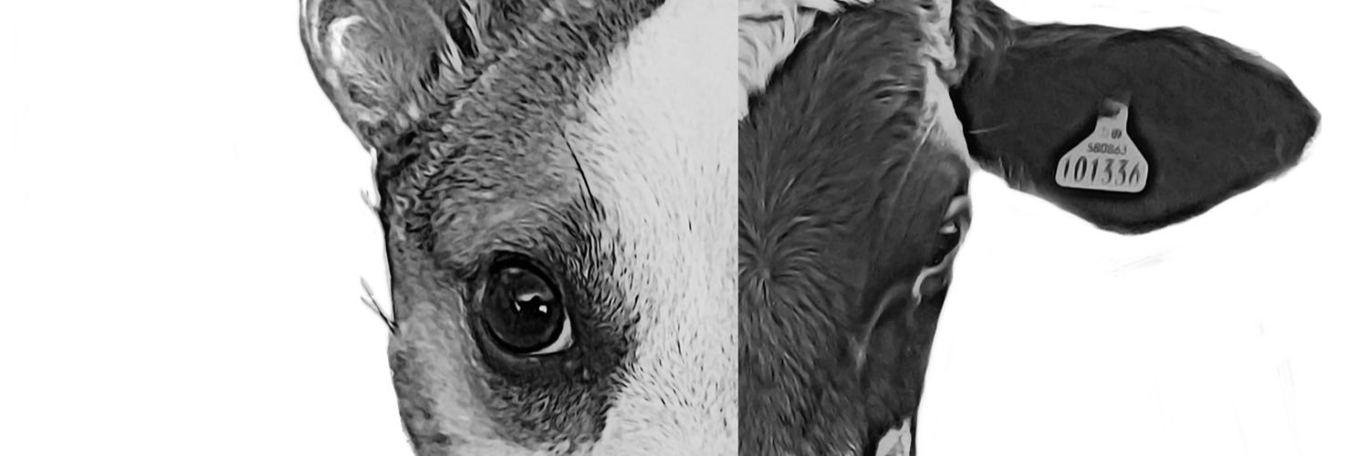 Prince_Moo_Moz's profile banner image