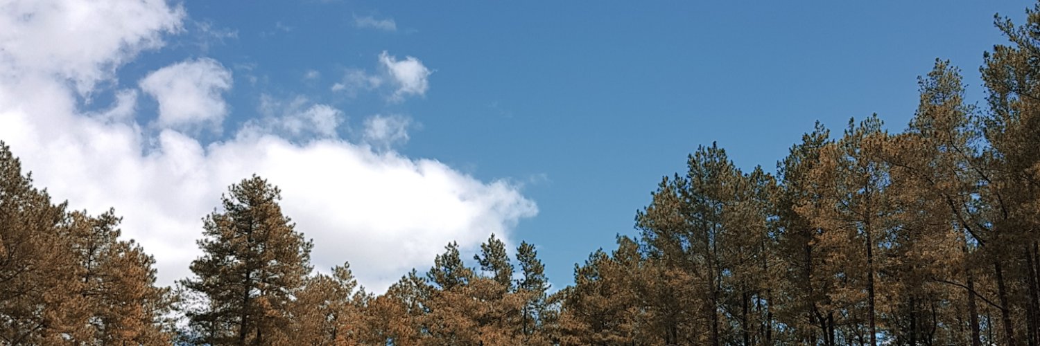nindiwu's profile banner image