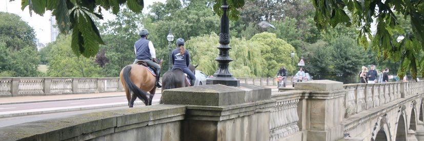 hydeparkstable's profile banner image