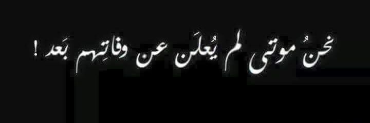 loolwael's profile banner image