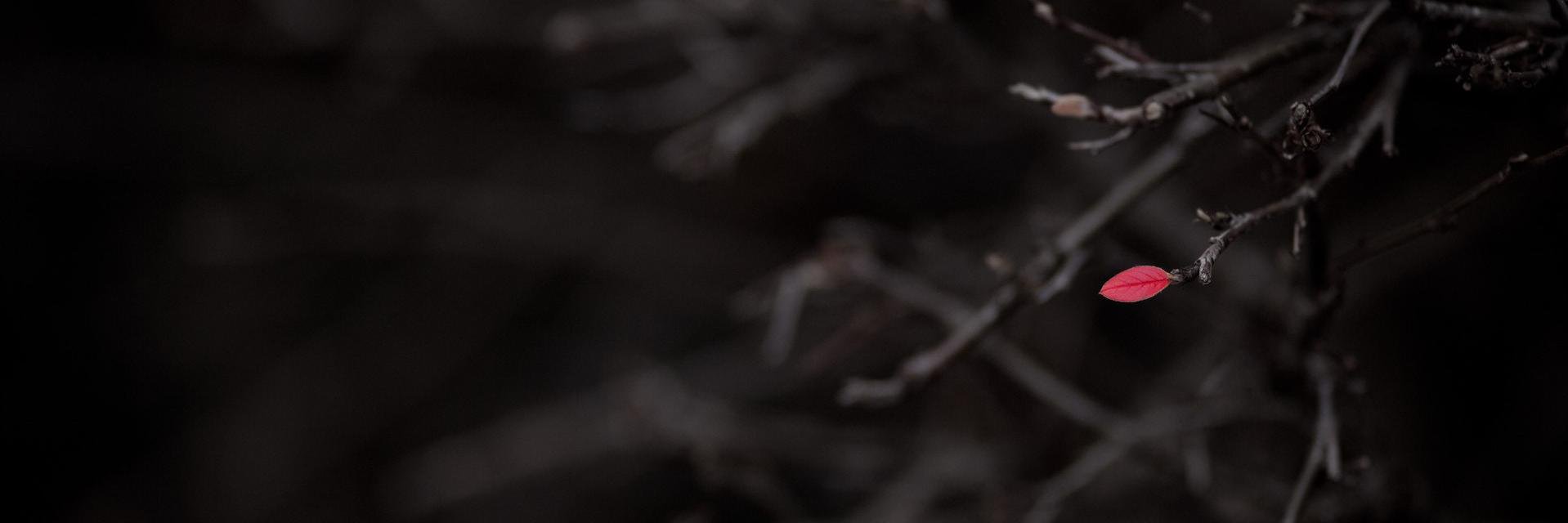 heath_misc's profile banner image