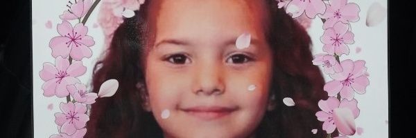 BetteDavisEyes 🇵🇸 😻👵 banner