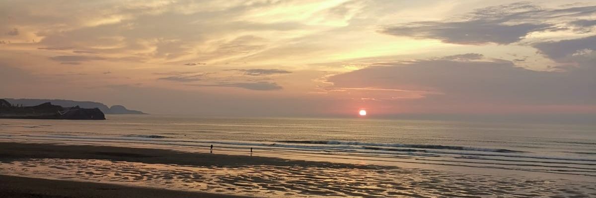 paulaaf2's profile banner image