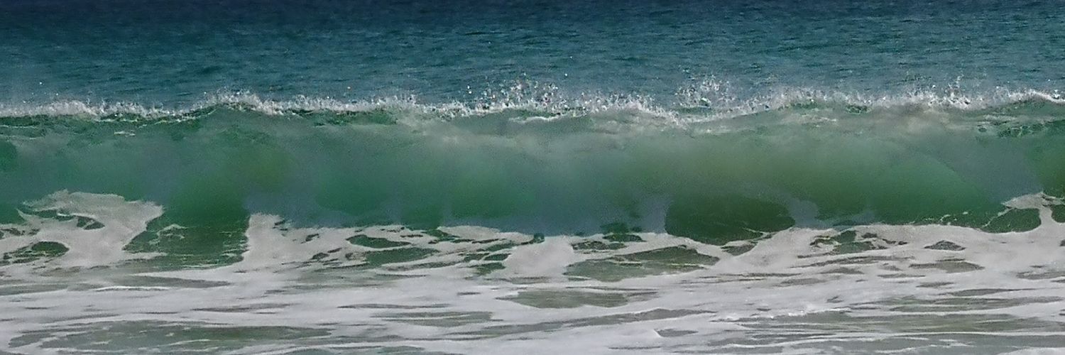 traceysuckling's profile banner image