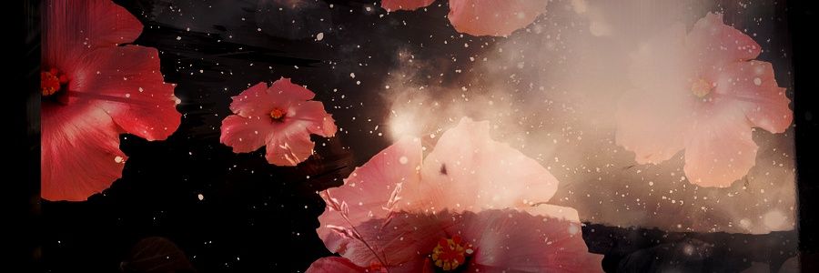 marames87's profile banner image