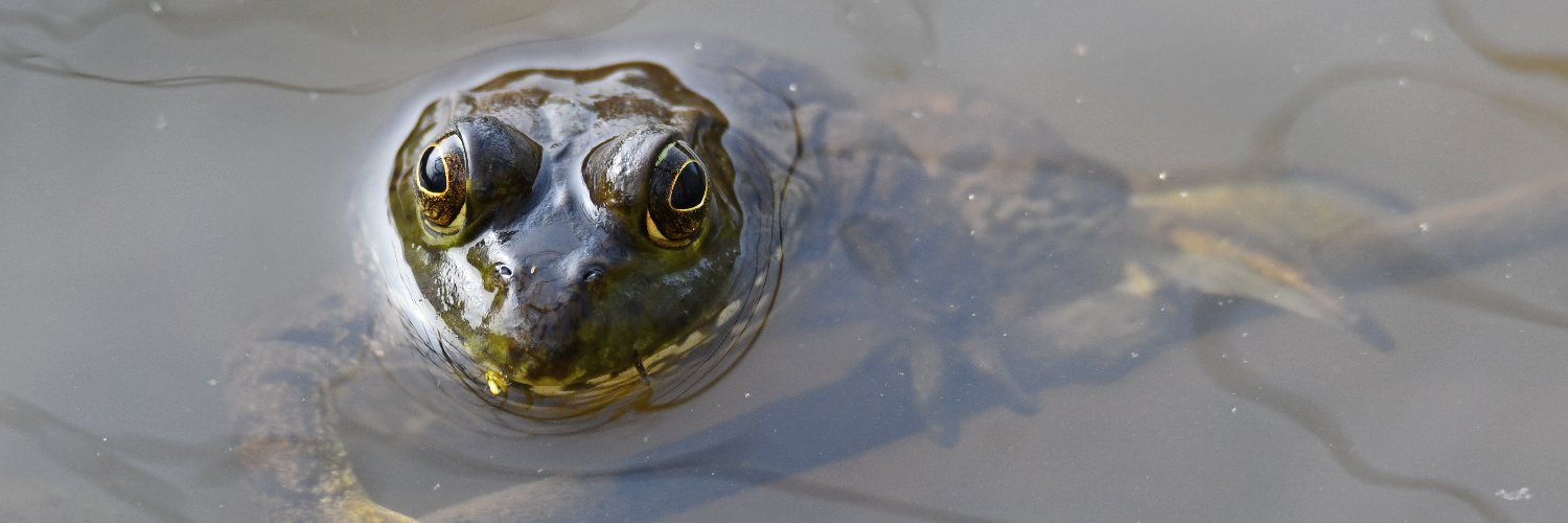 WillCoForestPreserve banner