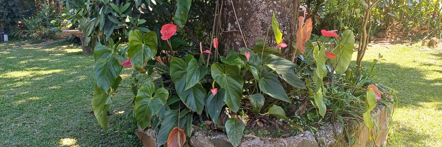 🌺𝓥𝓲𝓬𝓴𝔂 𝓛𝓸𝓹𝓮𝔃 💙🥮🥧 banner