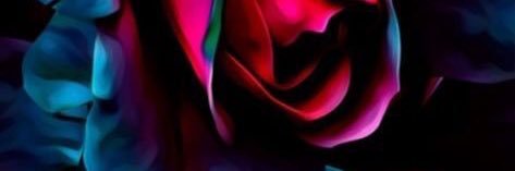 Jennifer Johnson banner