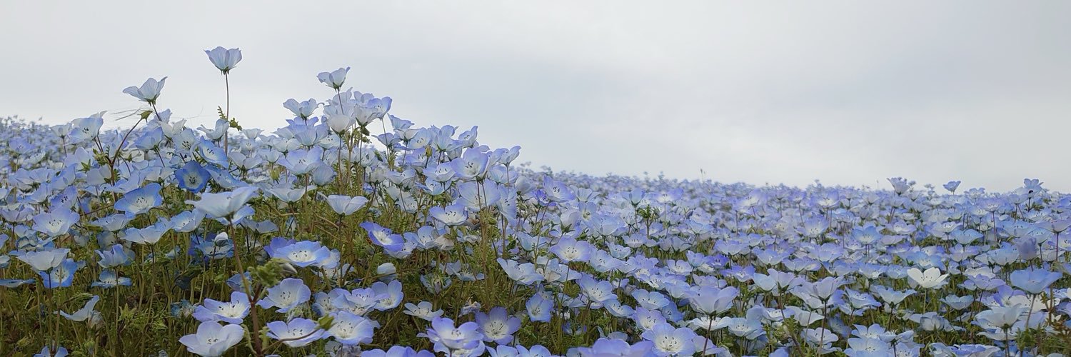aityaka_7's profile banner image