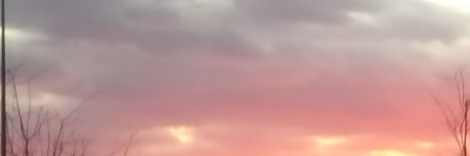 SADEnotSADIE's profile banner image