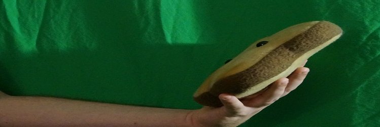 TheSadToast's profile banner image