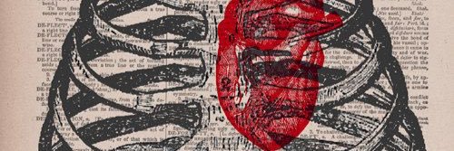 Sh_ijo's profile banner image