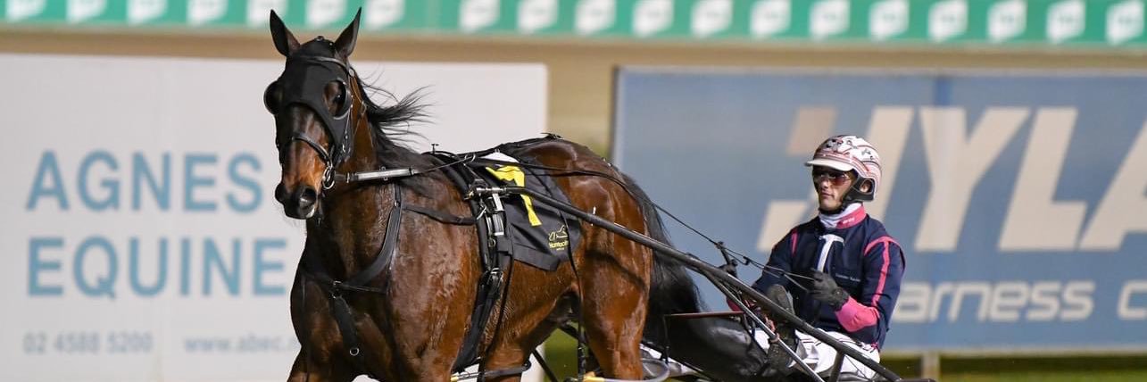 Bailey McDonough banner