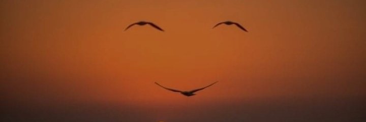 fafatuka's profile banner image