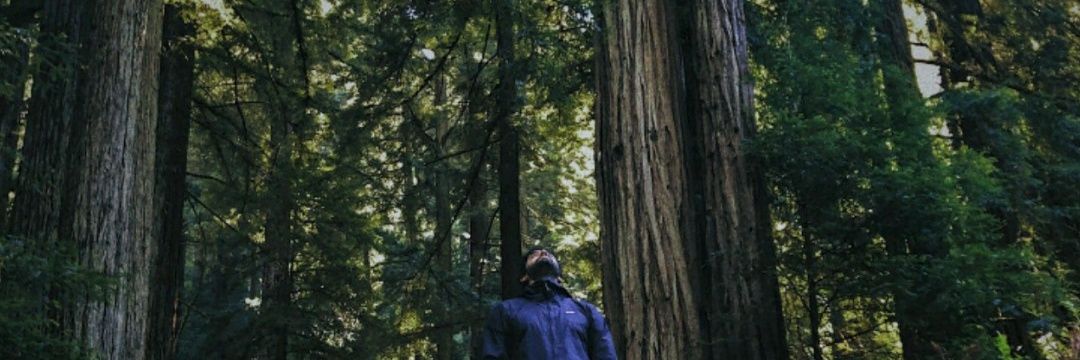 imsirk's profile banner image