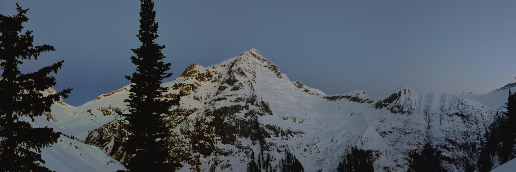 ChrisEForest's profile banner image